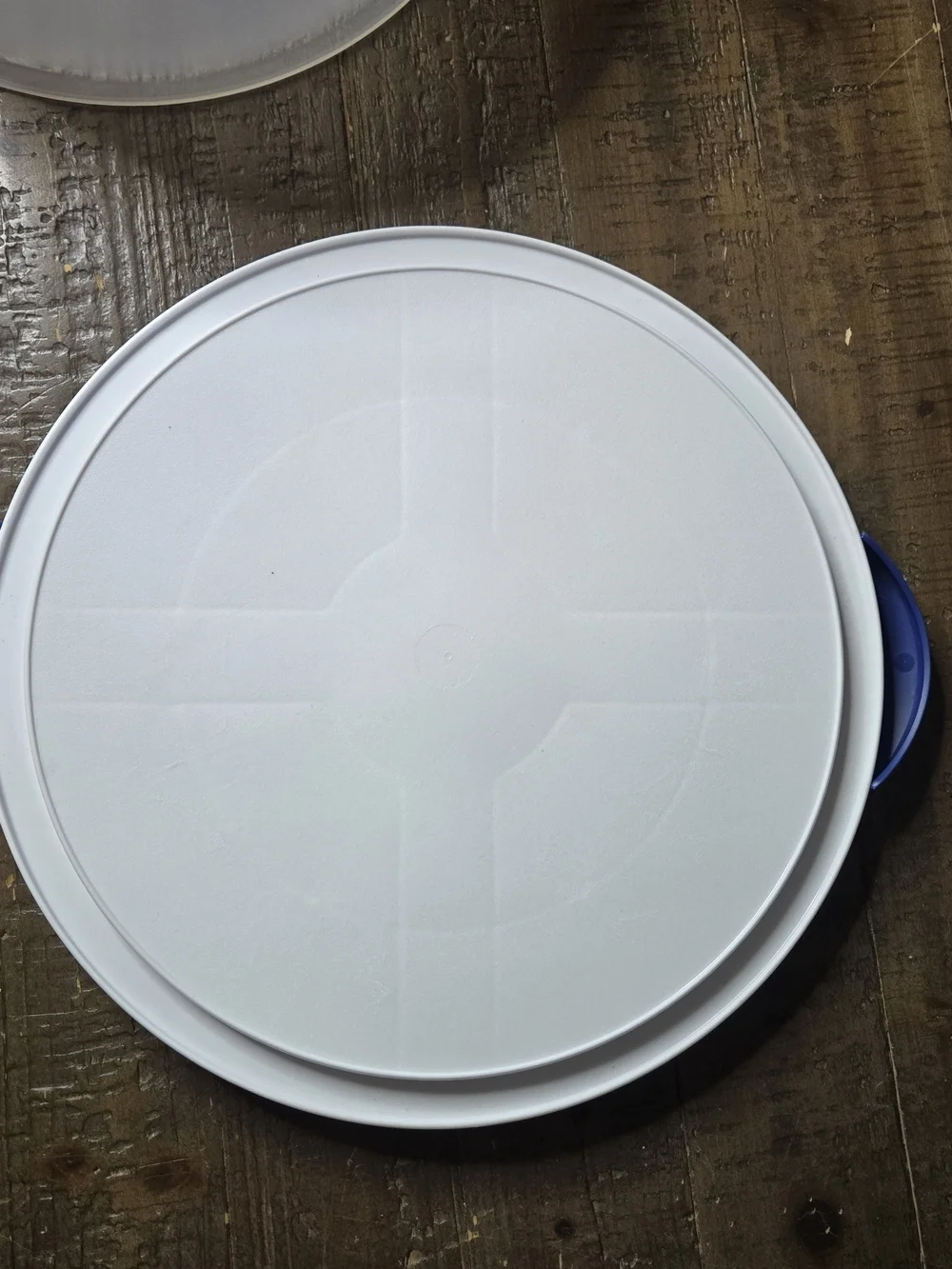 Sterilite Round Cake Carrier with Locking Handles & Clear Dome Lid – White/Blue